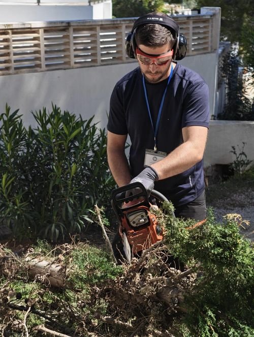 Poda de setos con motosierra en el jardín de un chalet